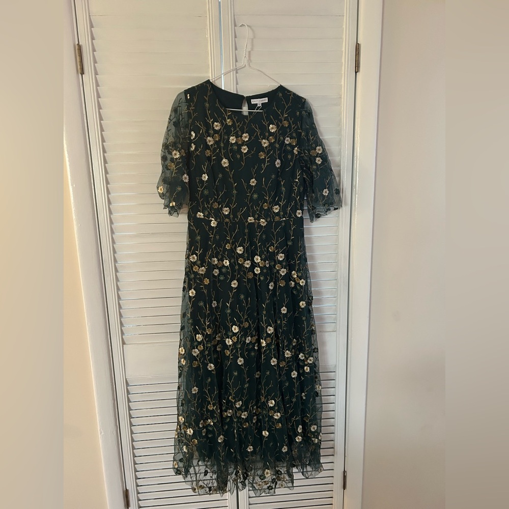 Arabella Embroidered Tulle Maxi Dress